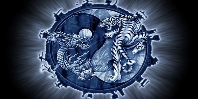Rồng vs Hổ B52 Rồng vs Hổ B52 những lưu ý