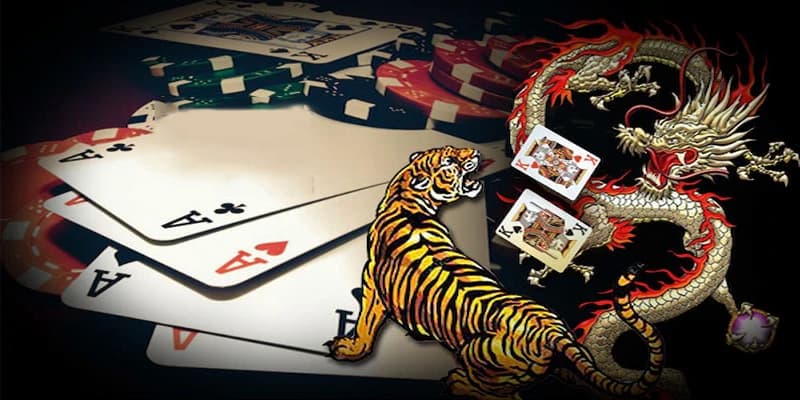 Dragon Tiger B52 Club Dragon Tiger B52 Club cách tối ưu hóa chiến thuật