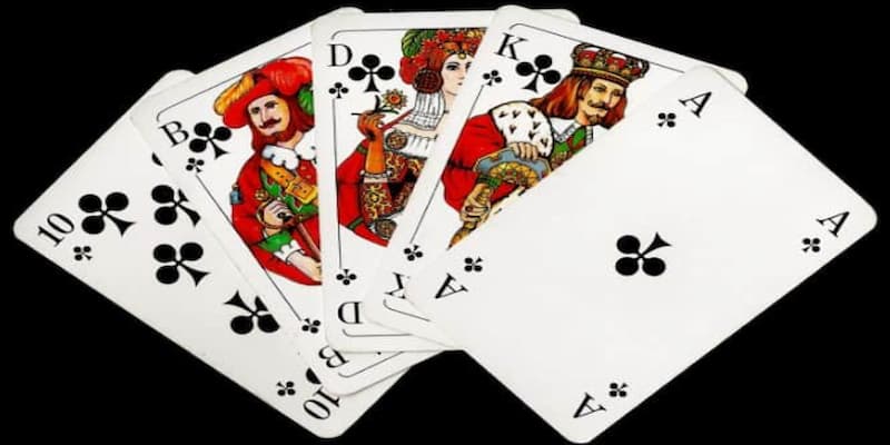 Sâm lốc B52 Club Sâm lốc B52 Club chiến thuật linh hoạt kết hợp